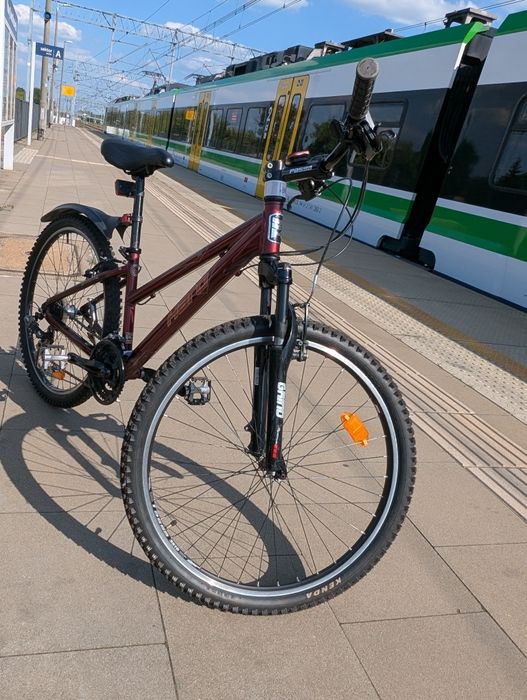 Rower Haro flightline