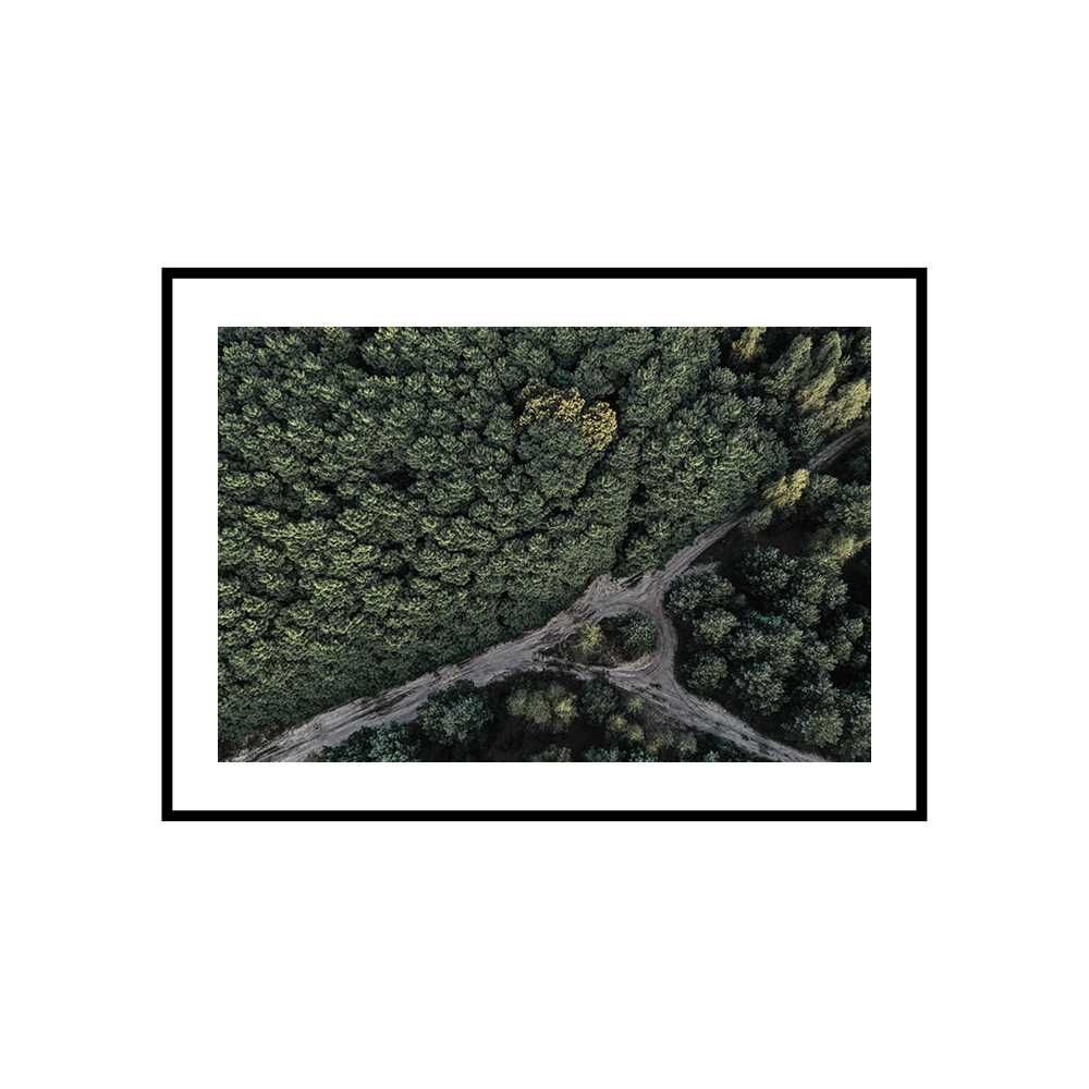 Plakat obraz zdjęcie format A3 30x40 cm las drzewa góry