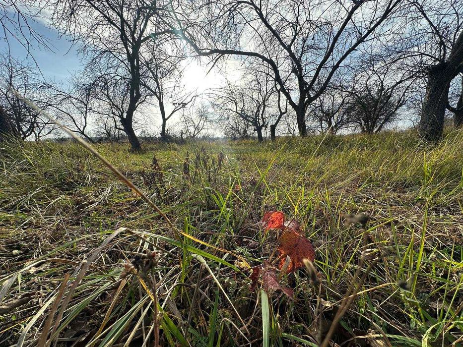 Продаж ділянки 10 соток під забудову. Біля лісу.Зручний під'їзд.ID:728