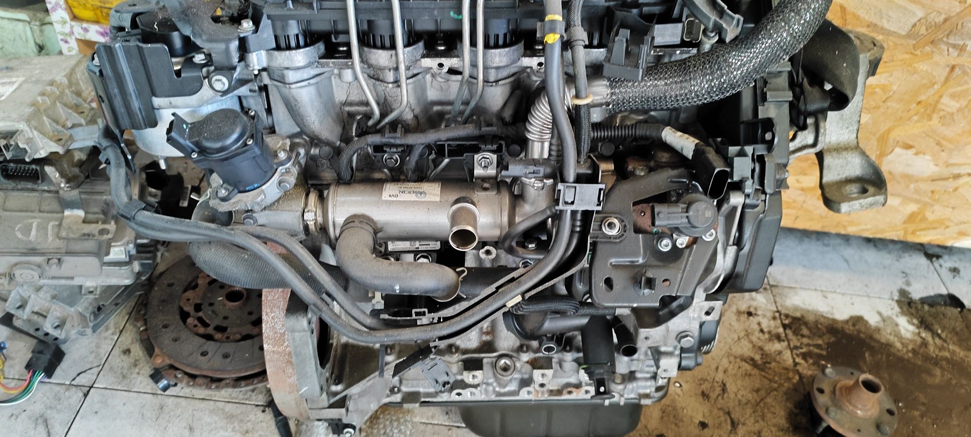 Motor ford 1.6 tdci