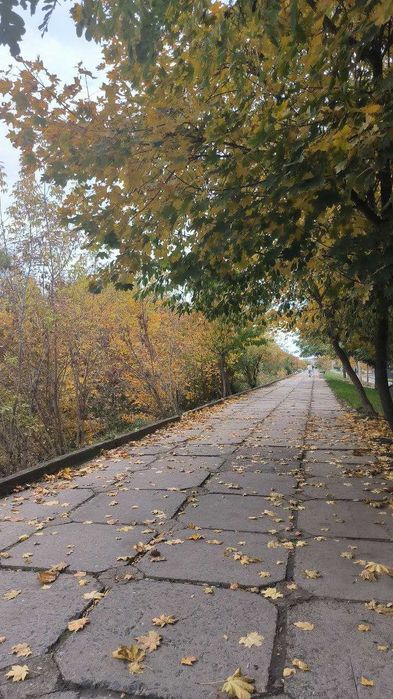 Квартира 1 кімнатна/ПРОДАЖ