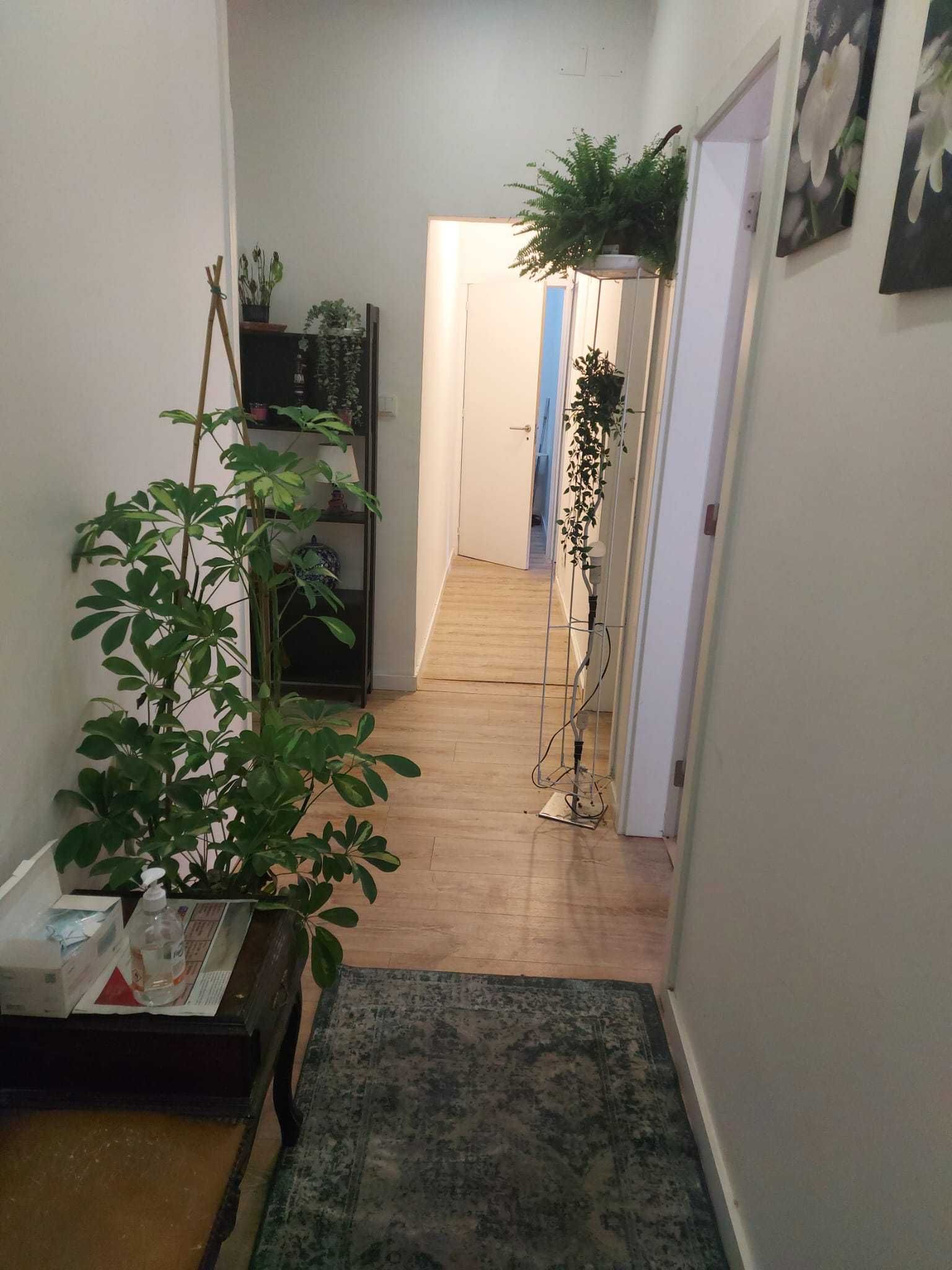 Quartos compartilhado em Rua Pascoal de Melo, Arroios