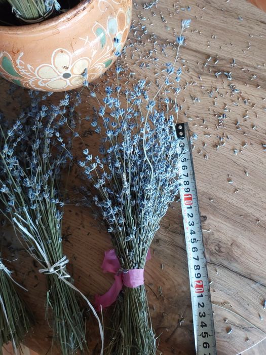 Лаванда букет сушена