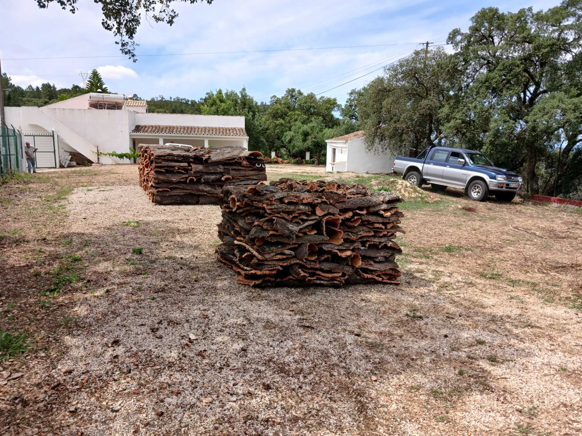 Cortiça amadia para venda