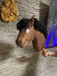 Personalizowane hobby horse na zamówienie
