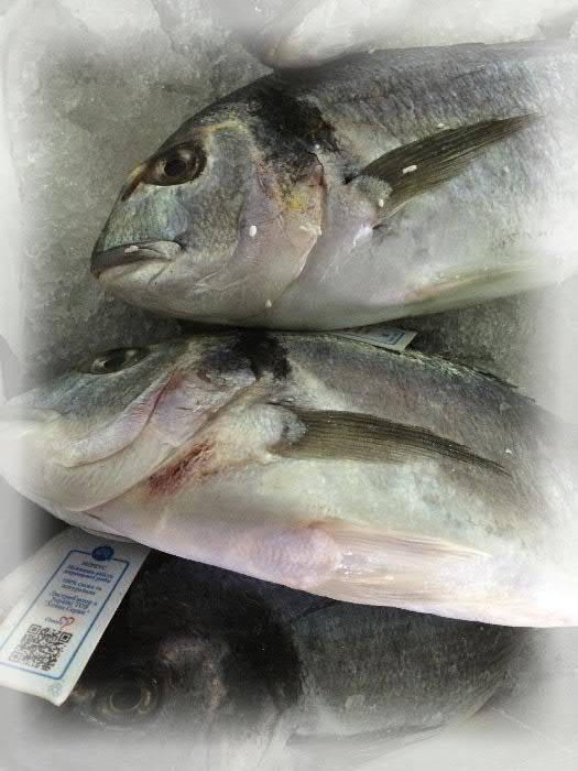 Дорадо тушка охлажденная (Турция)