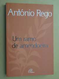 Um Ramo de Amendoeira de António Rego - Vários Livros