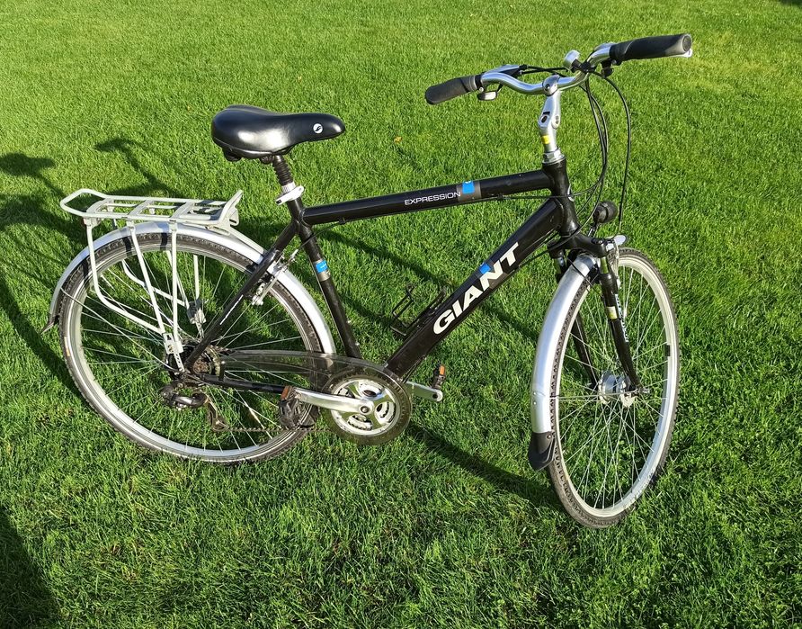 Rower trekkingowy GIANT EXPRESSION.