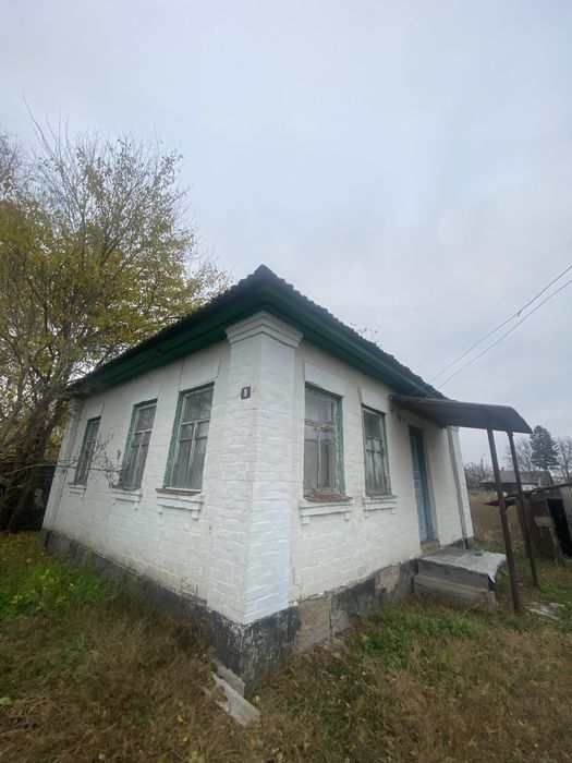 Продам будинок в Козельці