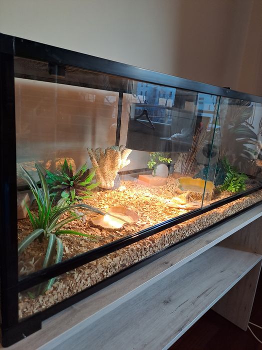 Terrarium jak nowe