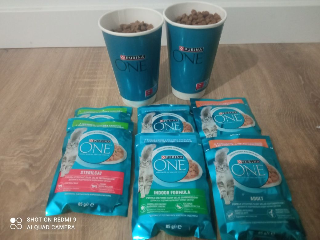 Purina karma dla dorosłych kotów