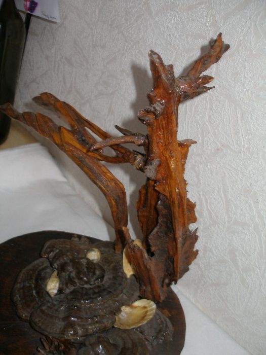 Коряга декоративная из дерева.