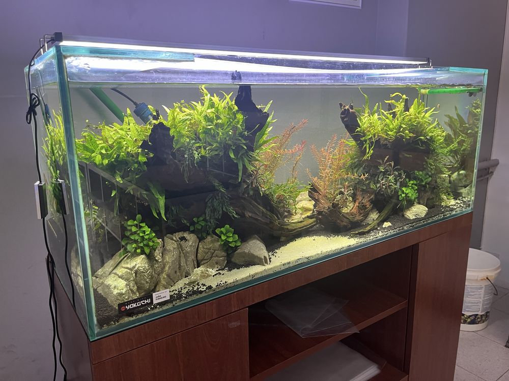Aquario completo (215L)