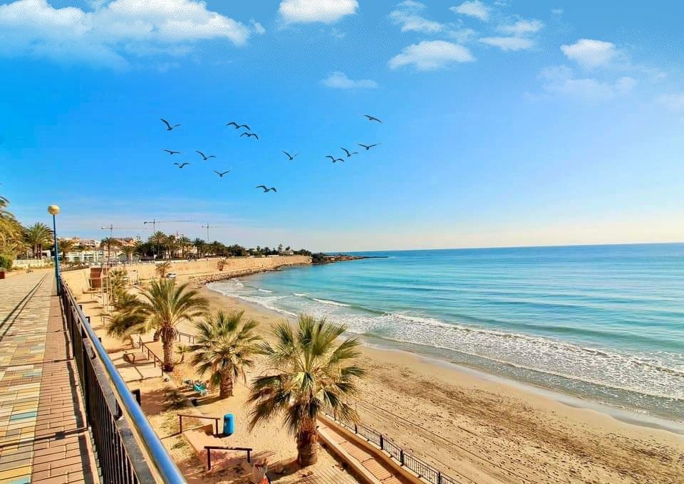 Hiszpania Punta Prima Torrevieja apartament