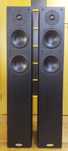 TANNOY Revolution R2
