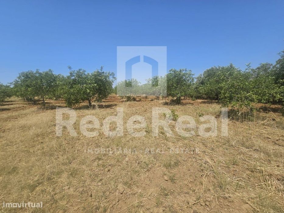 Terreno com 25.000m² com parcela urbana de 42m²