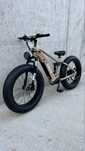 Rower elektryczny Eskute Spark Fat bike mocny