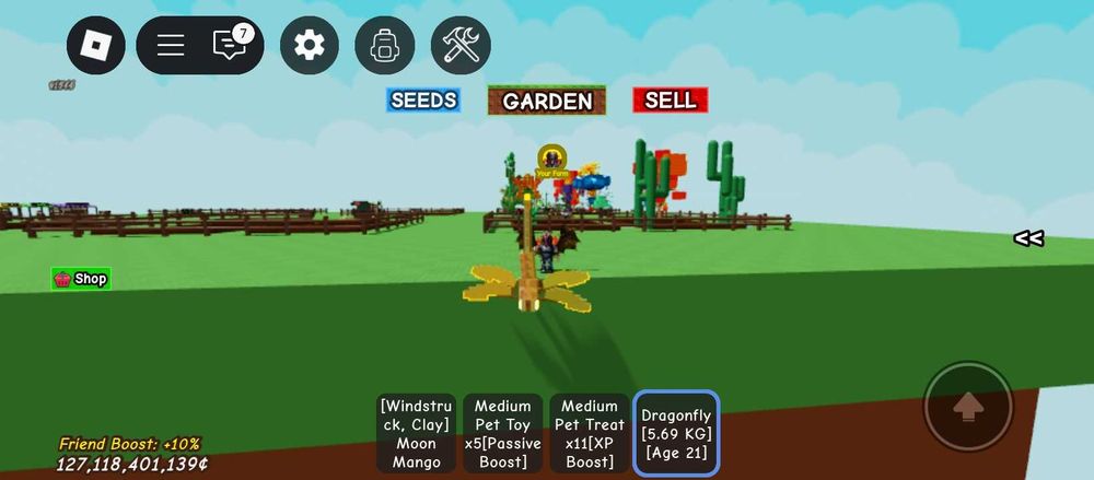 Стрекоза выращивать сад