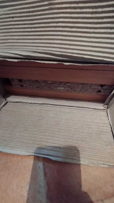 Estante móvel, nova, laminada de madeira de Faia