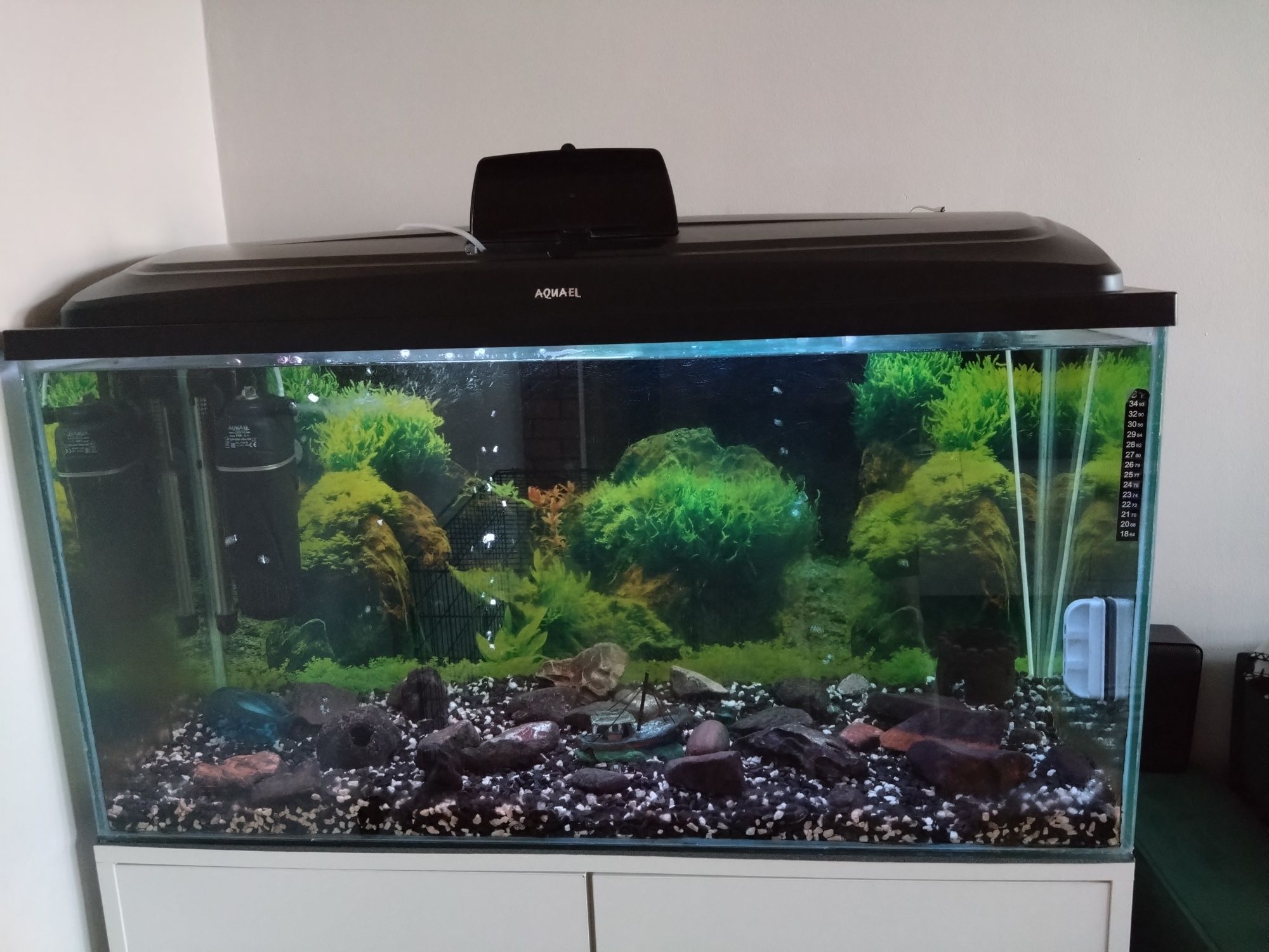 Akwarium 200L z pokrywa