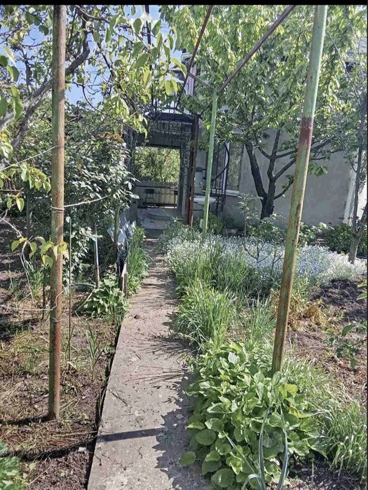 Продам дачу на Телегульском лимане