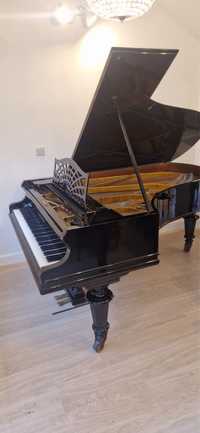 Fortepian Bechstein model B