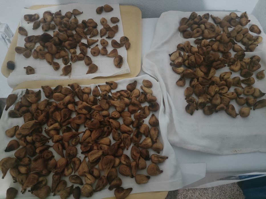 Figos secos caseiros pingo mel