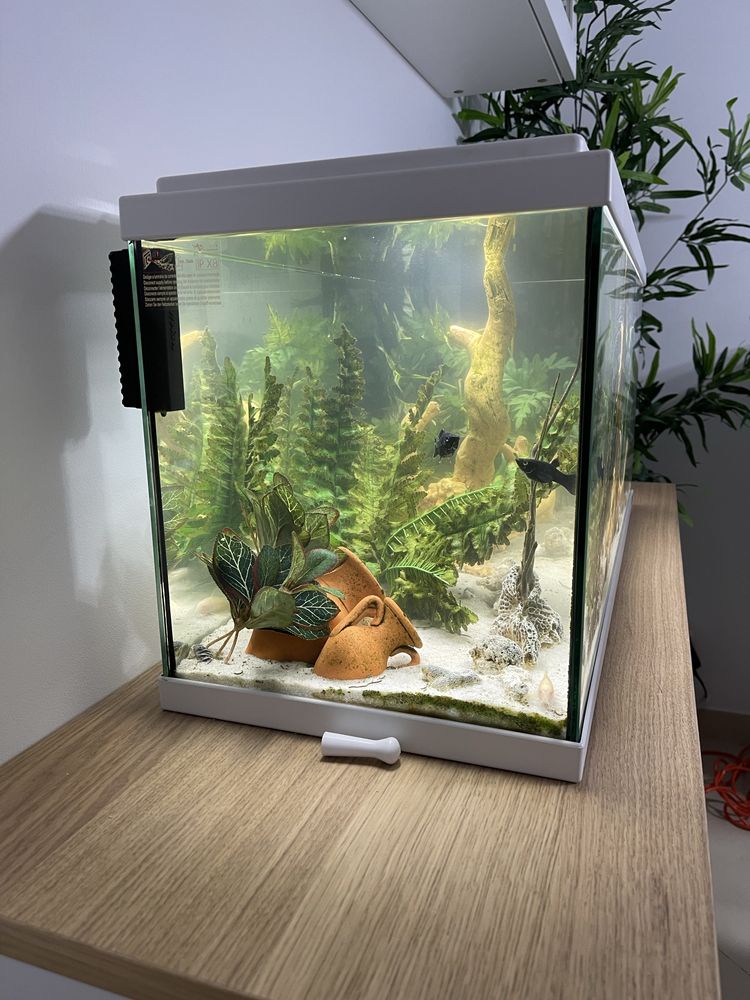 Aquário Aquatlantis 80L