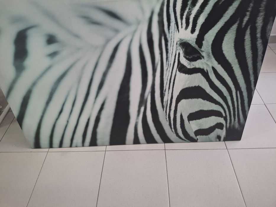 Quadro Zebra Preto e Branco