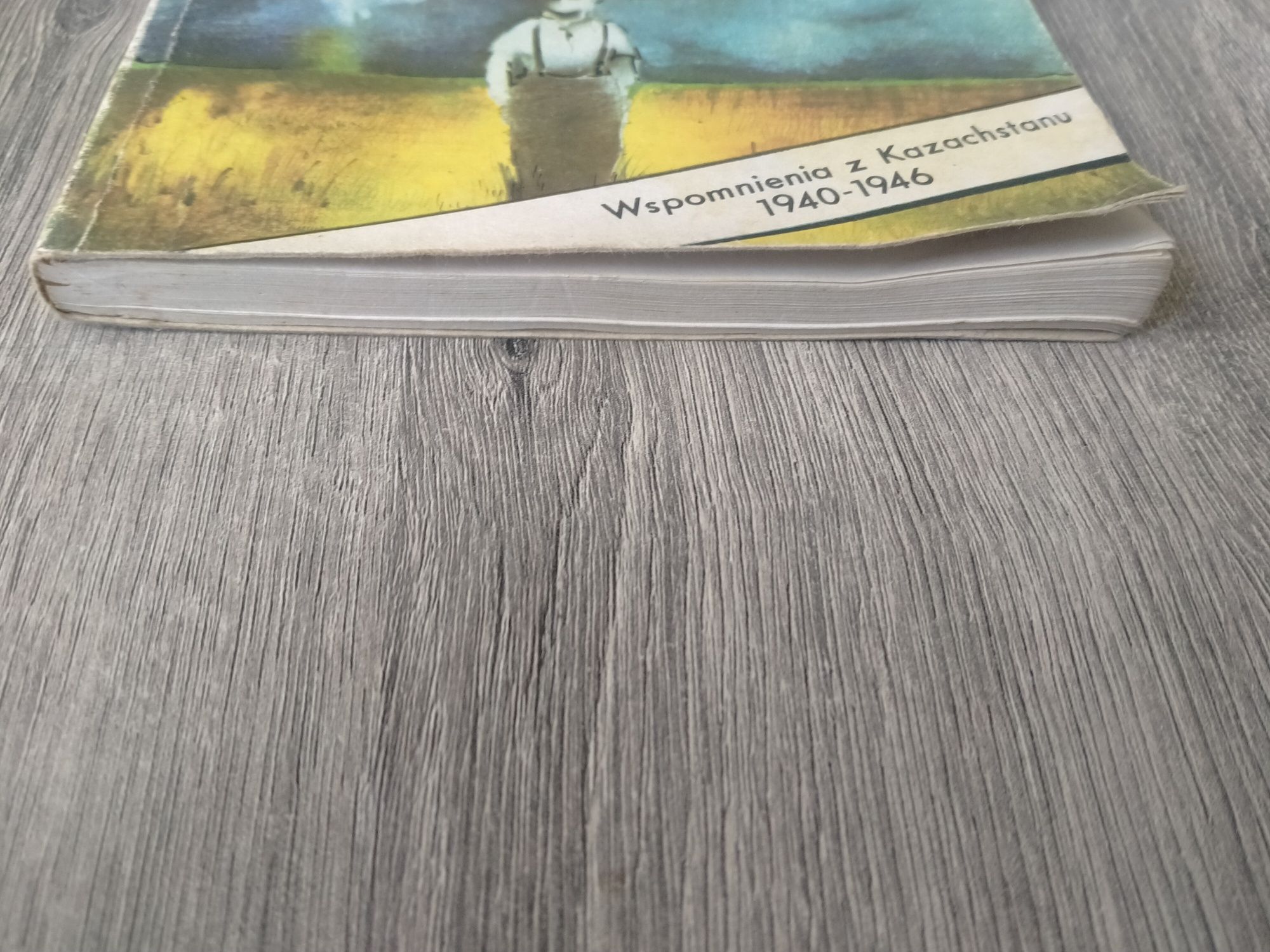 Eugeniusz Iwanicki Wróg towarzysza Stalina