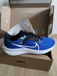 Nike air zoom pegasus 40