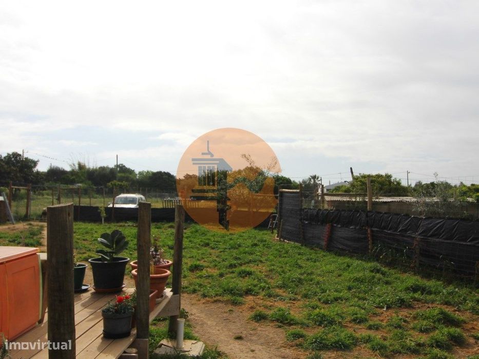 Terreno Rústico em Luz de Tavira