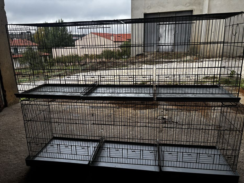 Vende-se duas voadeiras para passaros