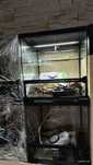 Terrarium IG REPTI plus gratisy