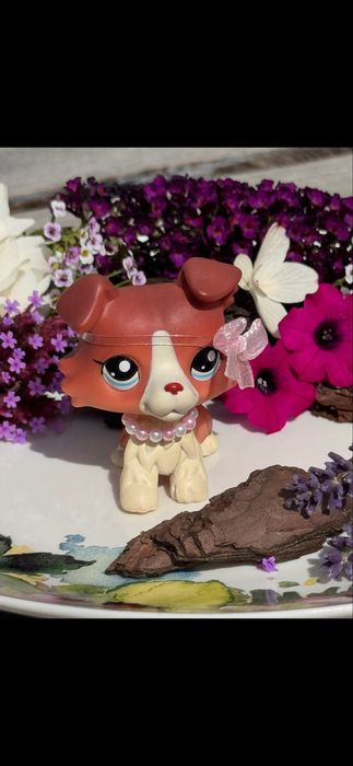 LPS littlest pet shop piesek collie Hasbro