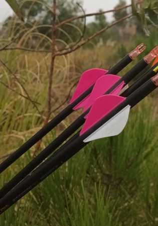 Arco composto Diamond / Bowtech