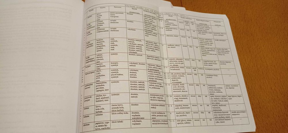 Podkultury młodzieżowe w środowisku szkolnym i pozaszkolnym, Marszałek