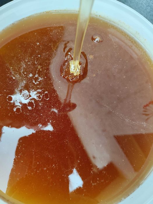 Miód polski wiadro 15 kg