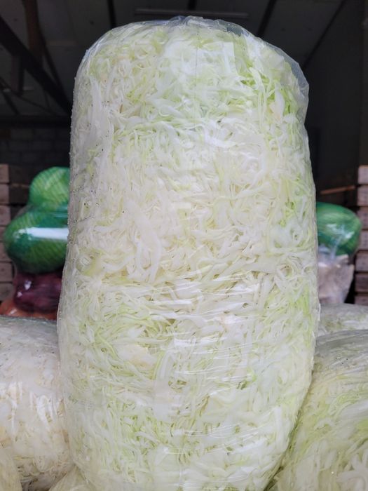 Kapusta biała, kapusta szatkowana i inne warzywa prosto od rolnika