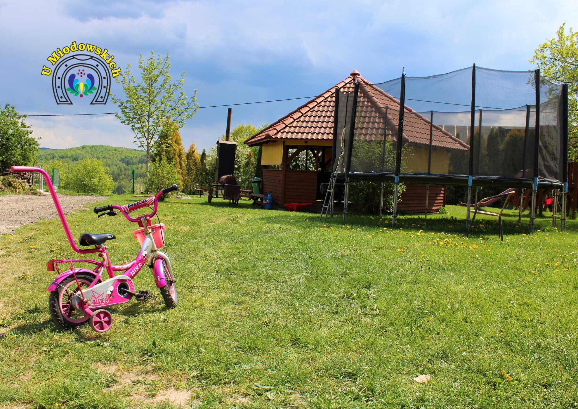 wolne pokoje, agroturystyka z zwierzętami, wyżywienie, Kaszuby