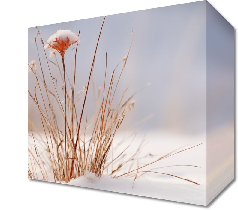 Obraz 20x20cm Zima w Detalach