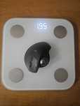 Xiaomi Mi Smart Scale 2 – cyfrowa waga łazienkowa