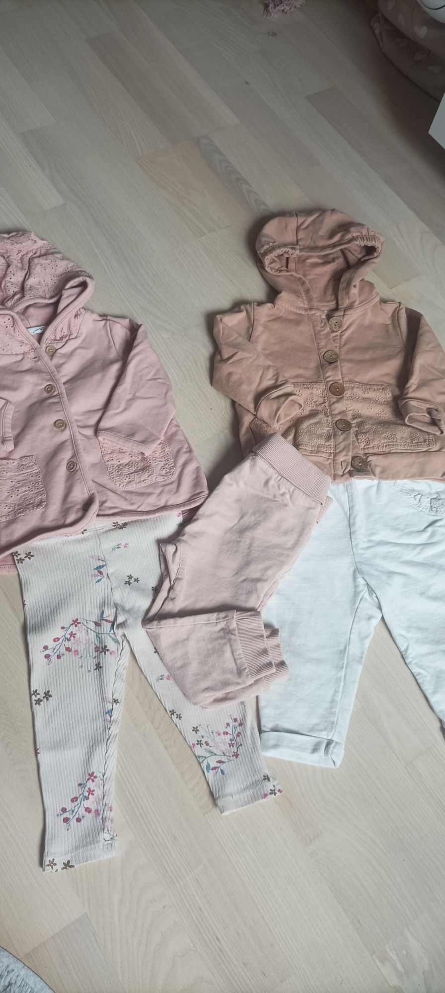Bluzy 80 cocodrillo
