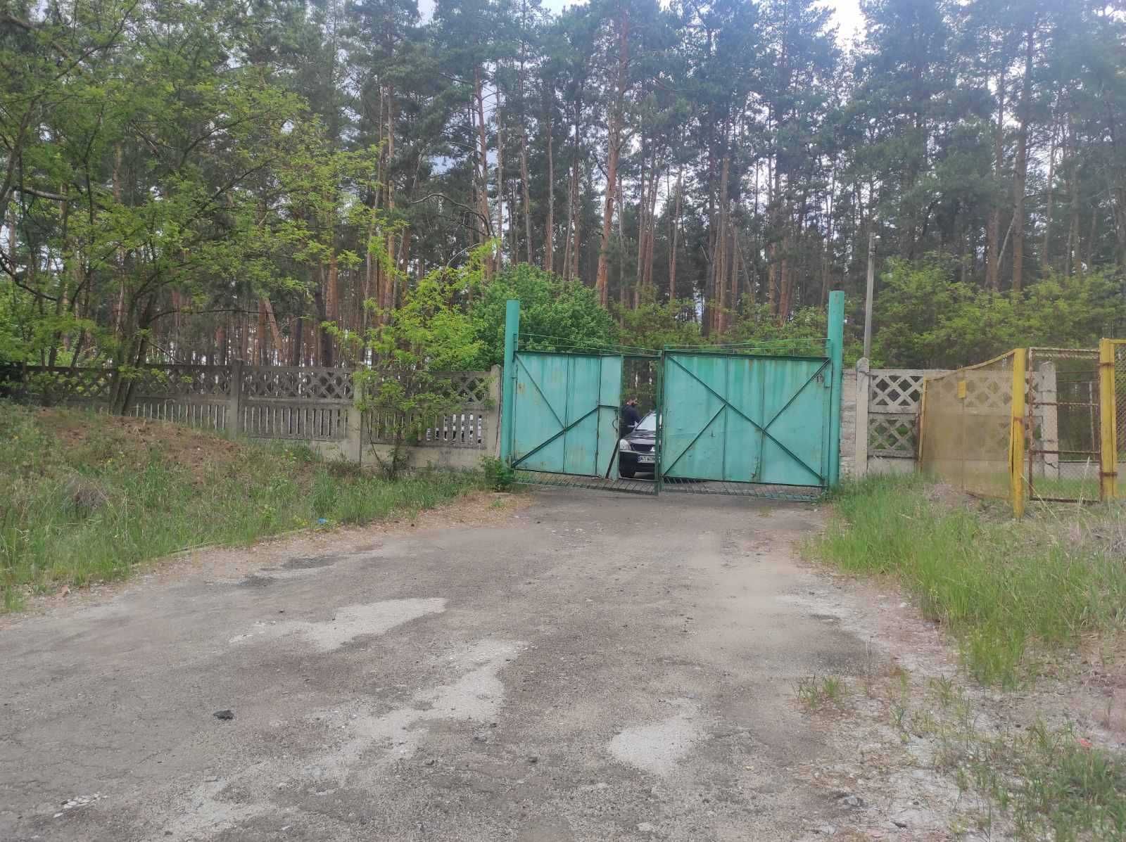 Продаж виробничо-складських приміщень с.Мліїв