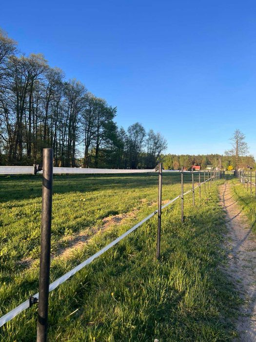 mocne i trwałe Słupki do ogrodzeń, do pastucha, kantówki