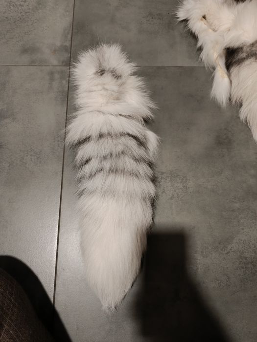 Ogon z lisa/Idealny na brelok lub zawieszkę!Naturalny