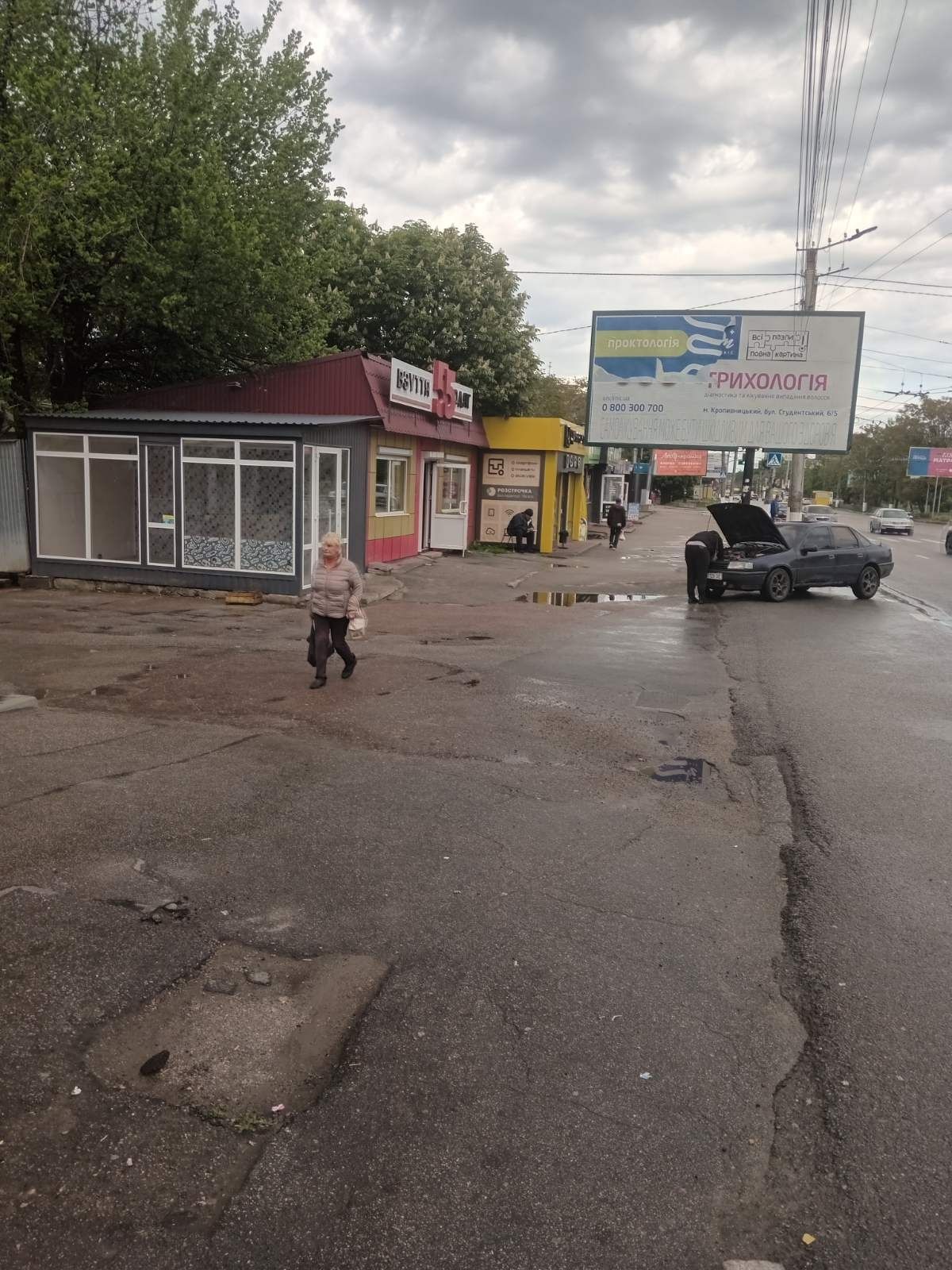 Здам в оренду маф