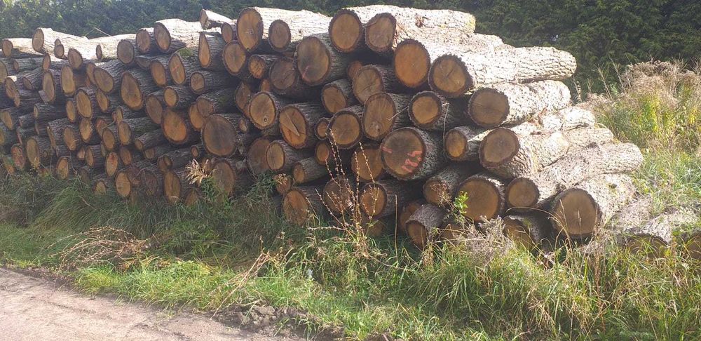 Sprzedam drewno na słupki