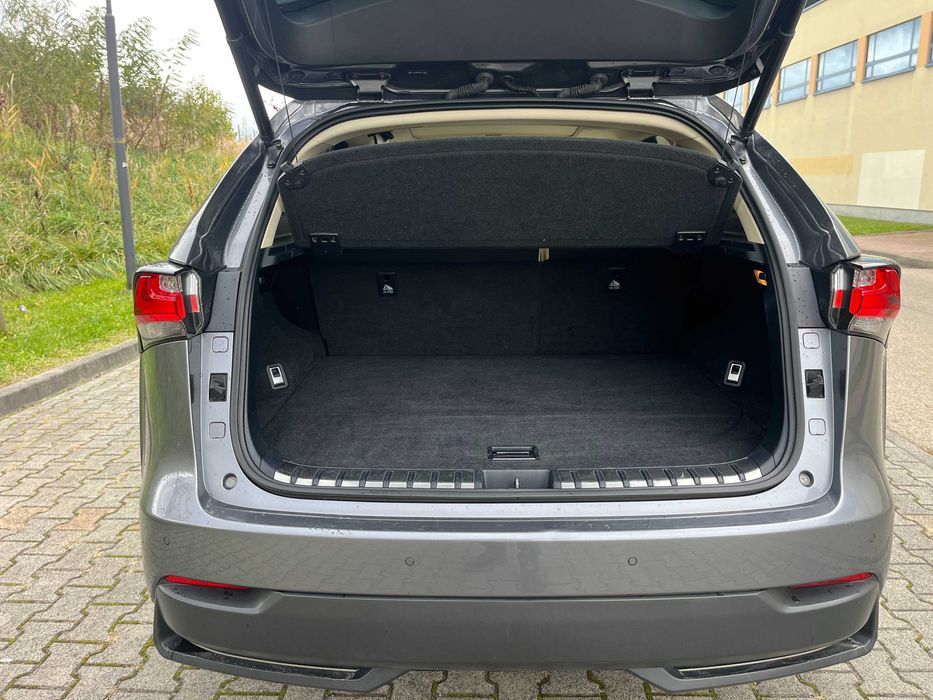 Lexus NX300h, Hybryda, serwis ASO, super stan, pilnie sprzedam