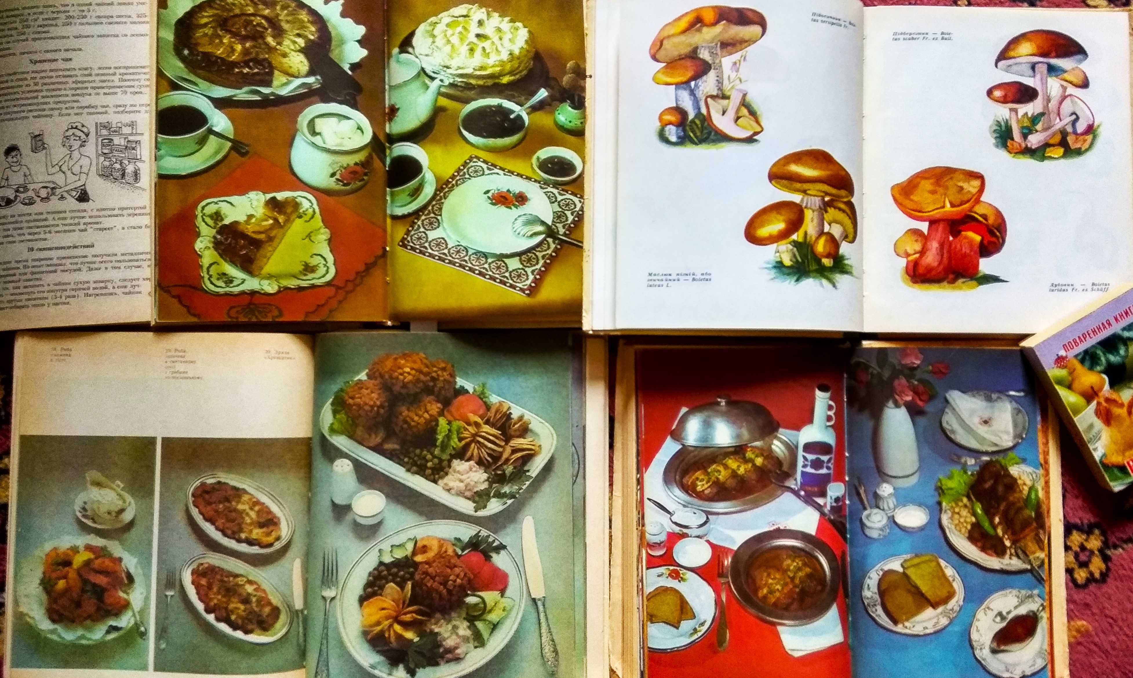 энциклопедия комнатных растений.пироги выпечка. українська кухня